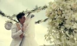 林志颖梦幻婚礼视频,浪漫瞬间，星光璀璨的甜蜜誓言