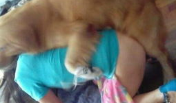 动物和人交配视频,探索自然与伦理的边界